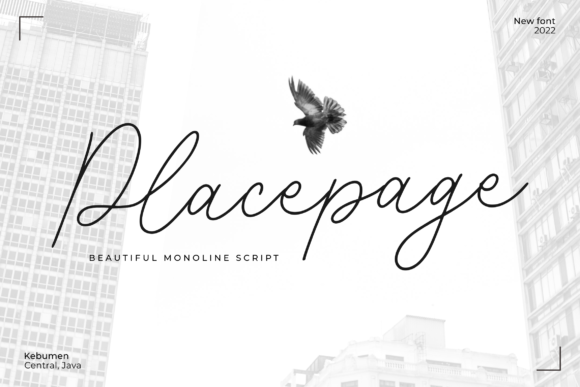 Placepage Font Poster 1