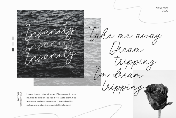 Placepage Font Poster 3