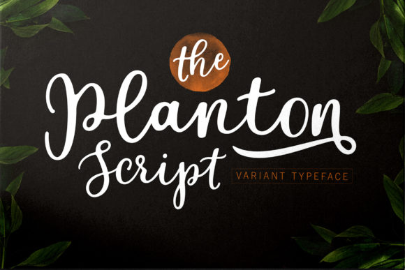 Planton Script Font Poster 1