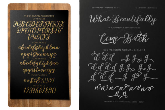 Planton Script Font Poster 6