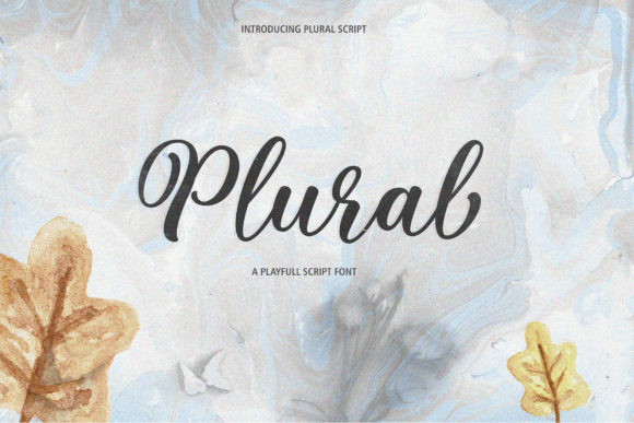 Plural Script Font Poster 1