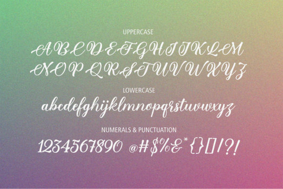 Plural Script Font Poster 6