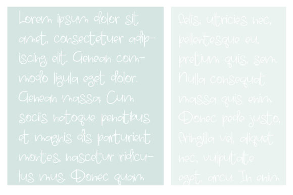 PN Flapdragon Font Poster 4