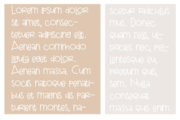 PN Paizello Font Poster 5
