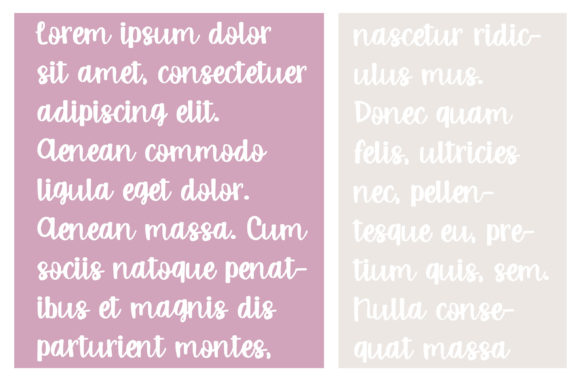 PN Spizella Font Poster 4