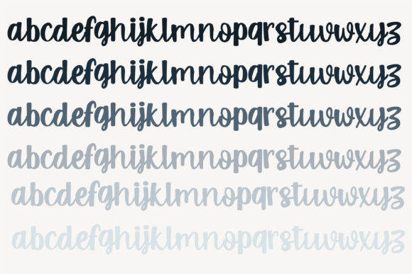 PN Spizella Font Poster 5