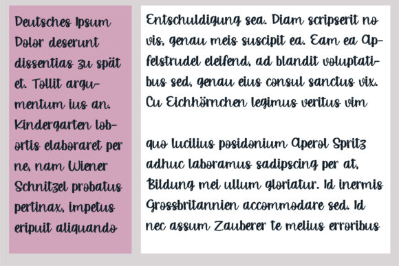 PN Spizella Font Poster 7