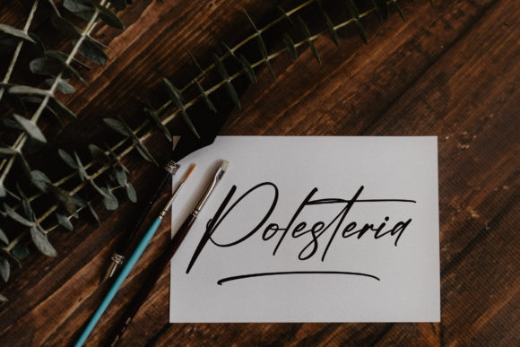 Polesteria Font Poster 3