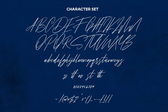 Pollet Signature Font Poster 8