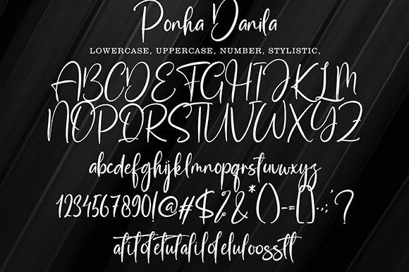 Ponha Danila Font Poster 10