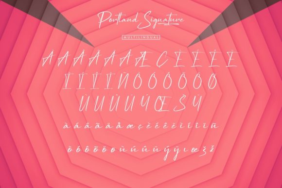 Portland Signature Font Poster 6