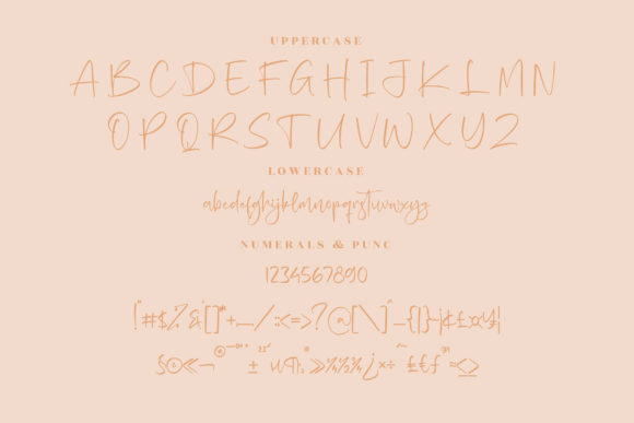 Prichylia Font Poster 13