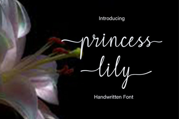 Princess Lily Font Poster 1