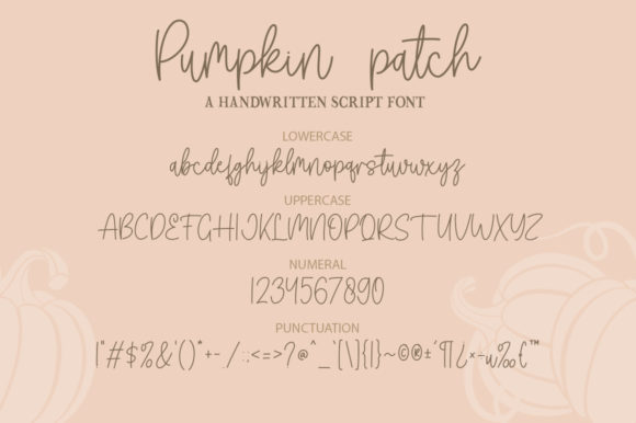 Pumpkin Patch Font Poster 7