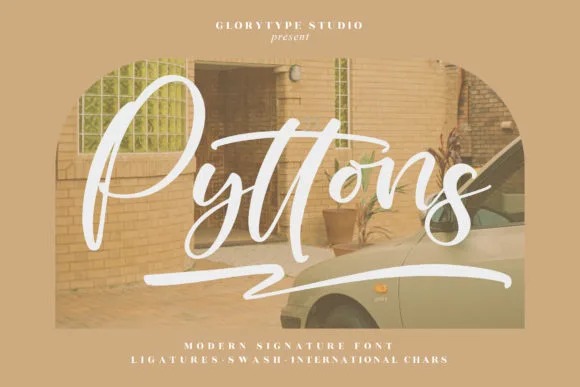 Pyttons Font Pyttons Font Poster 1