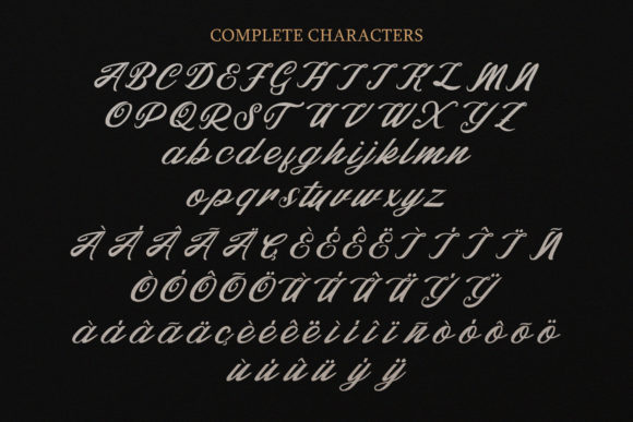 Qiber Font Poster 11