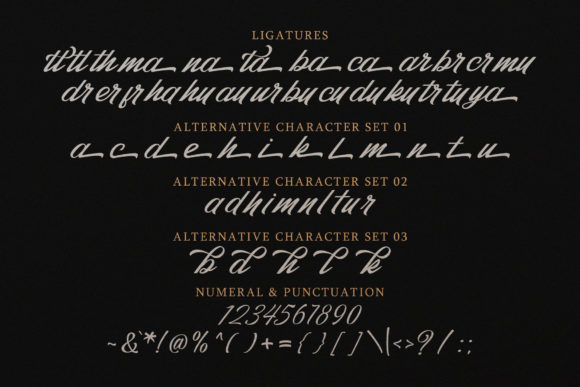 Qiber Font Poster 12