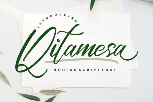 Qitamesa Script Font