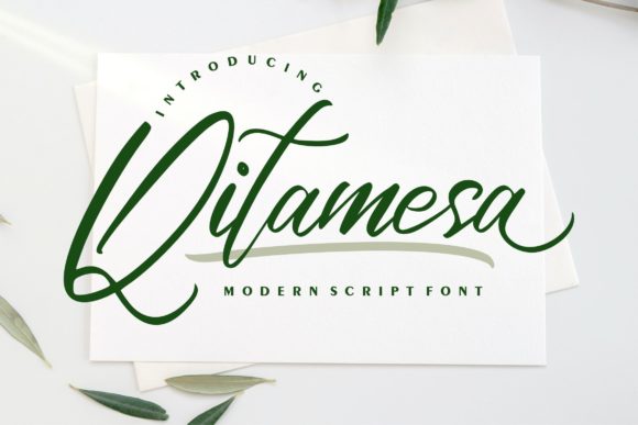 Qitamesa Script Font Poster 1