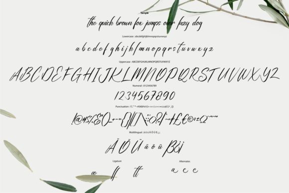Qitamesa Script Font Poster 6