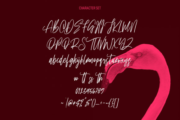 Quiney Loves Font Poster 8