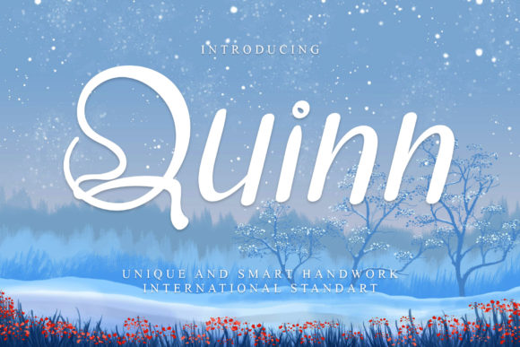 Quinn Font Poster 1