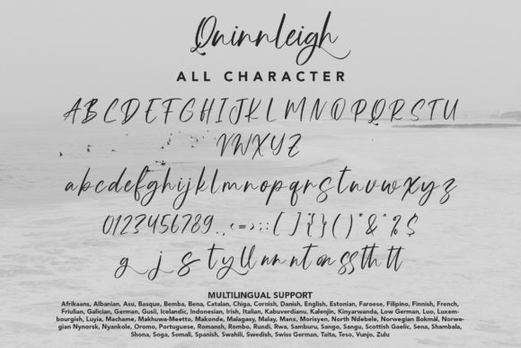 Quinnleigh Font Poster 9