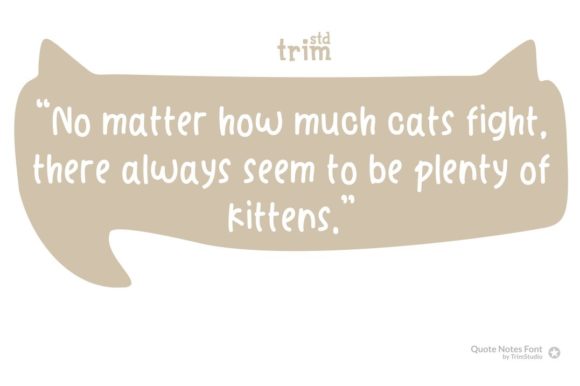 Quote Notes Font Poster 4
