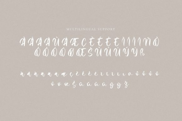 Qwentine Shelby Font Poster 10