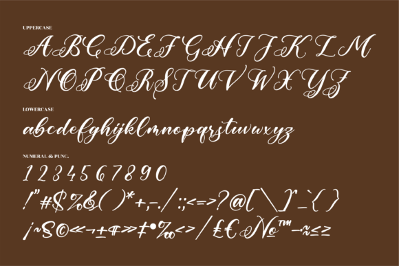 Rafaela Belaria Font Poster 13