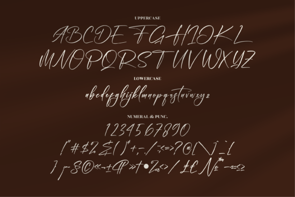 Ramontegral Signature Font Poster 13