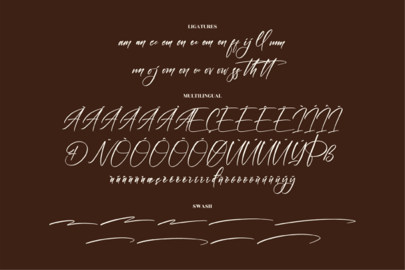 Ramontegral Signature Font Poster 14