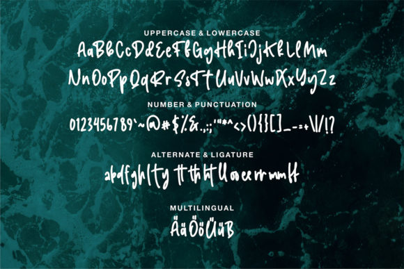 Randy Font Poster 6