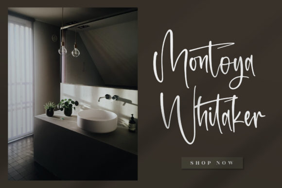 Ranteria Font Poster 2