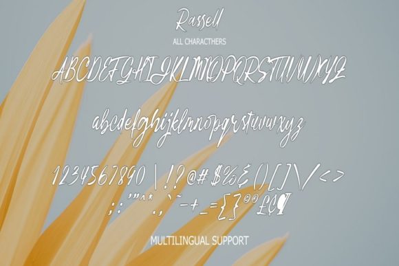 Rassell Font Poster 9