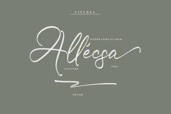 Rasttelina Font Poster 12