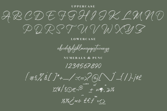 Rasttelina Font Poster 13