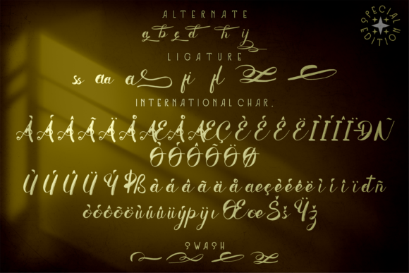 Rayline Swift Font Poster 7