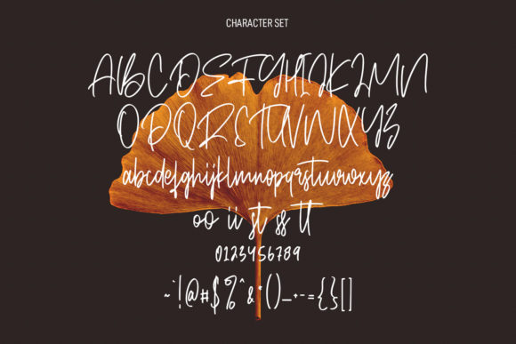 Reality Clubs Font Poster 8