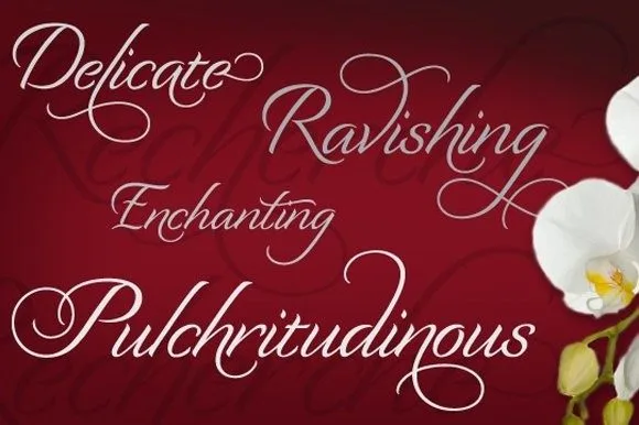 Recherche Font Recherche Font Poster 1