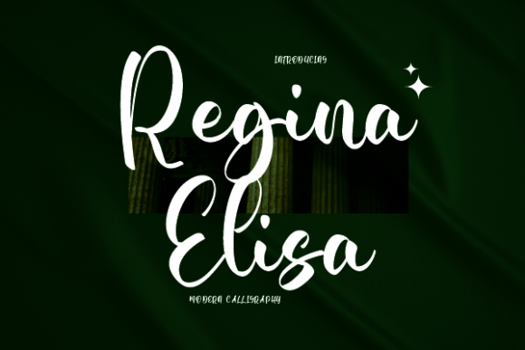 Regina Elisa Font Poster 1