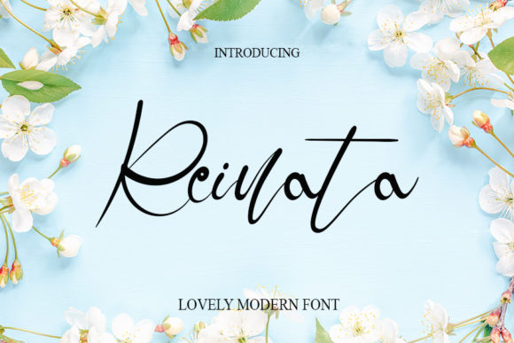 Reinata Font Poster 1