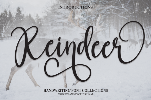 Reindeer Font