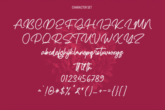Rello Swelly Font Poster 8