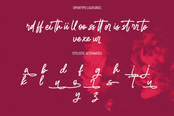 Rello Swelly Font Poster 9