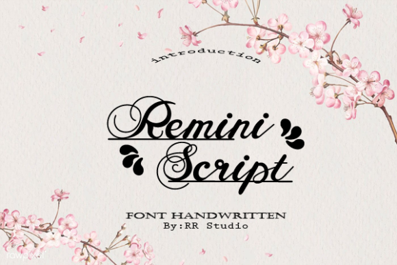 Remini Script Font Poster 1