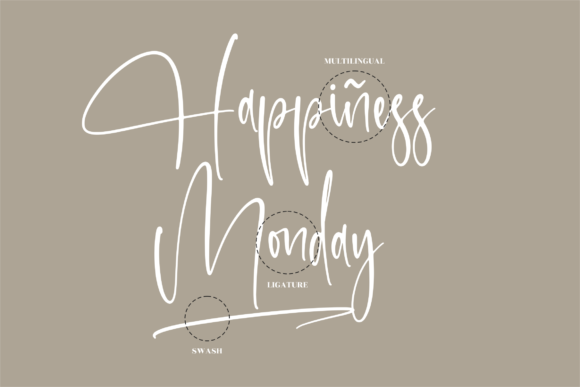 Retonderita Font Poster 12