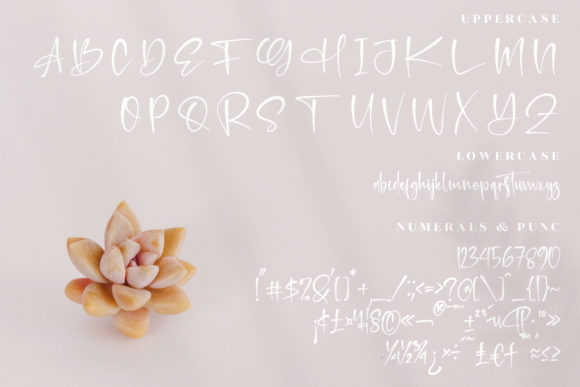 Retrogenta Font Poster 13