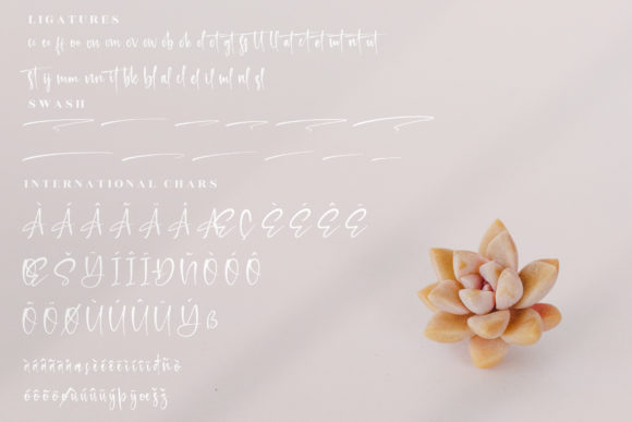 Retrogenta Font Poster 14