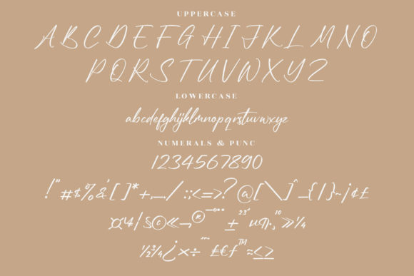 Reymonde Signature Font Poster 13